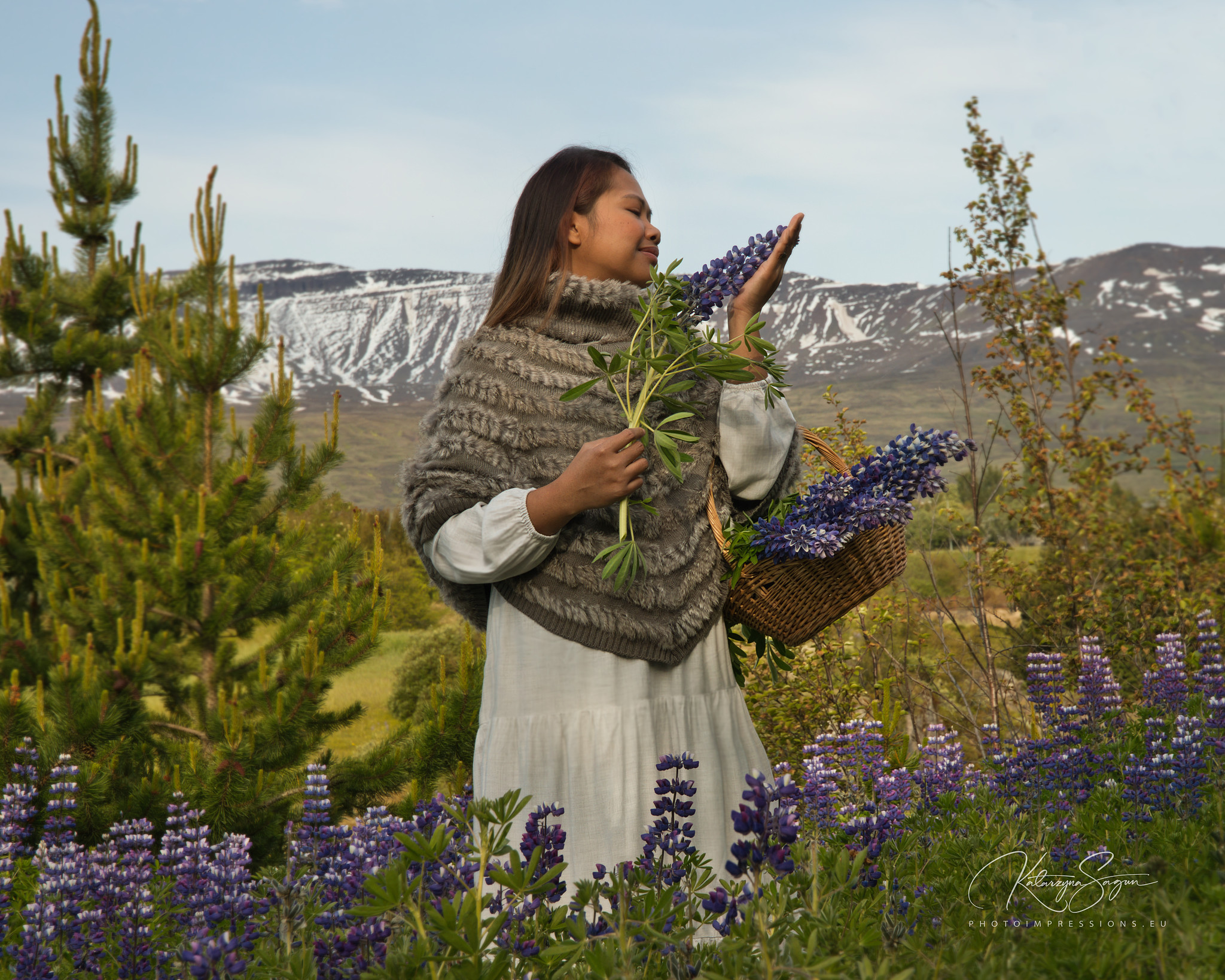 Woman holding a basket of lupine flowers, wearing a green plaid scarf, Iceland.