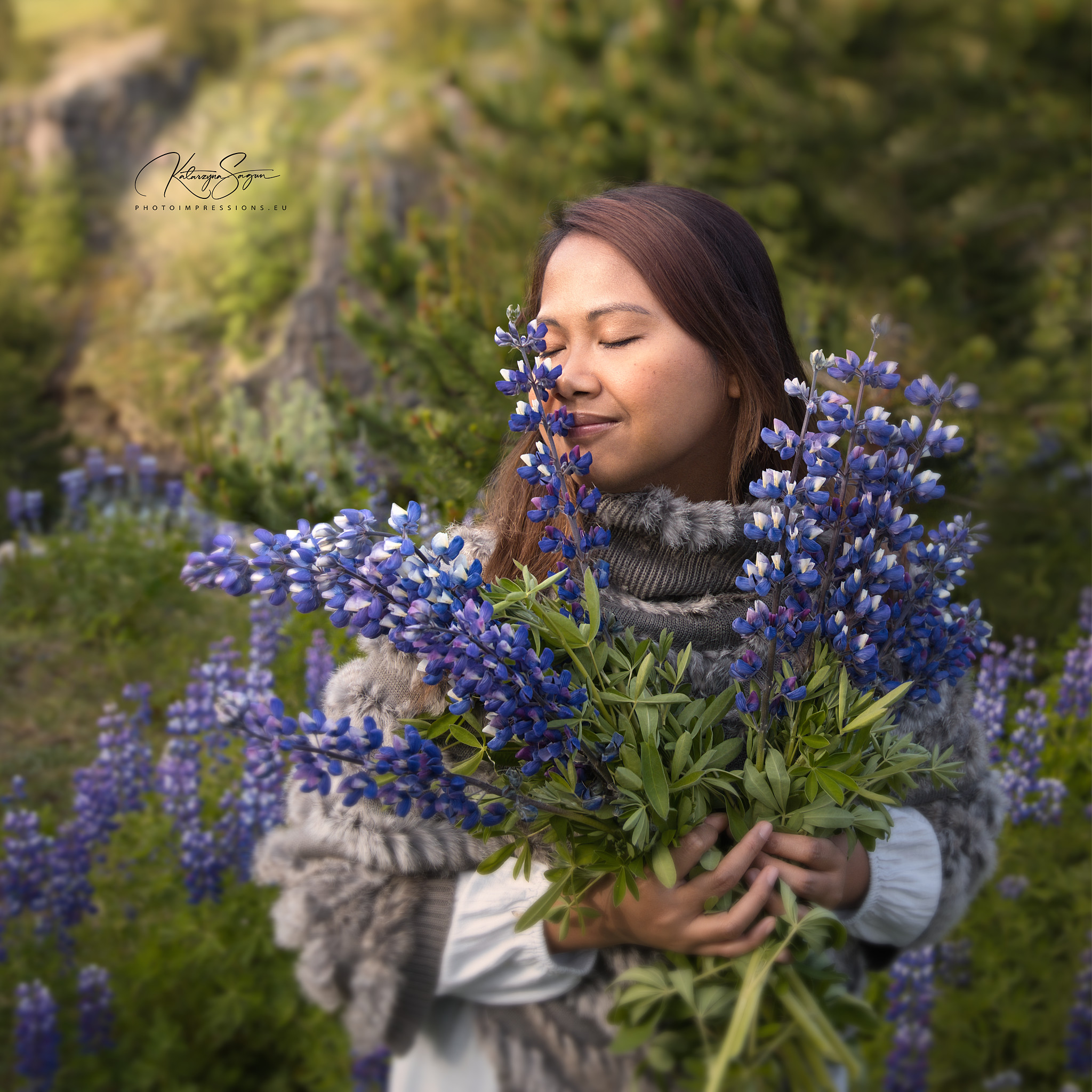 Vertical portrait of a woman holding a large bouquet of purple lupine flowers in Iceland.